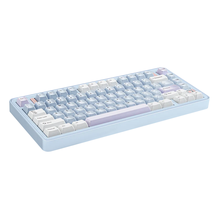 Ticktype EVO75 Prebuilt 75% Wireless Mechanical Keyboard