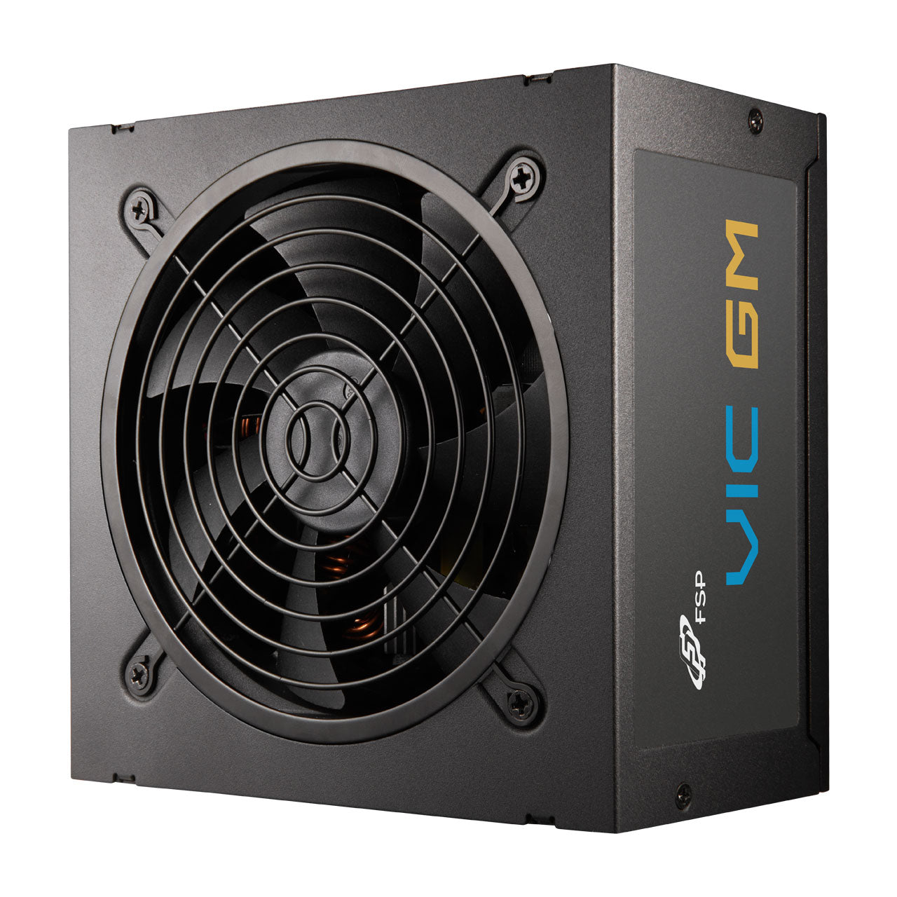 FSP VIC GM 850W  PCIe 5.1 12V-2x6 ATX 3.1 Fully Modular 80+ Gold PSU