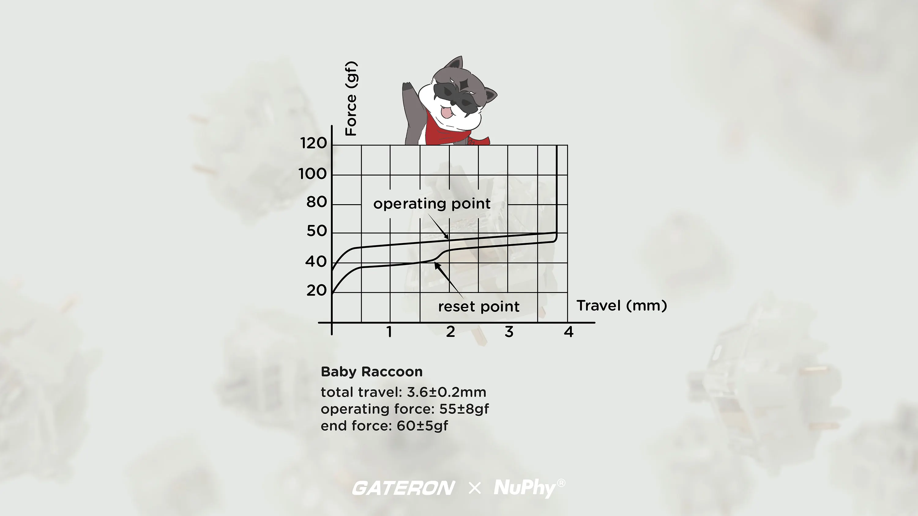 NuPhy x Gateron Baby Raccoon Switches - 110pcs/Set